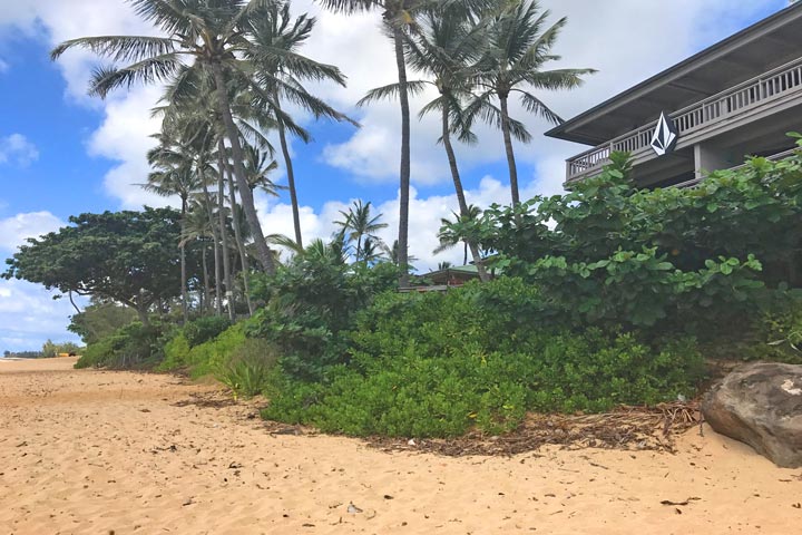 North Shore Beach Front Homes For Sale in Oahu, Hawaii
